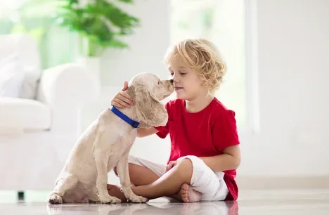 Find your perfect puppy at Petland Fort Walton