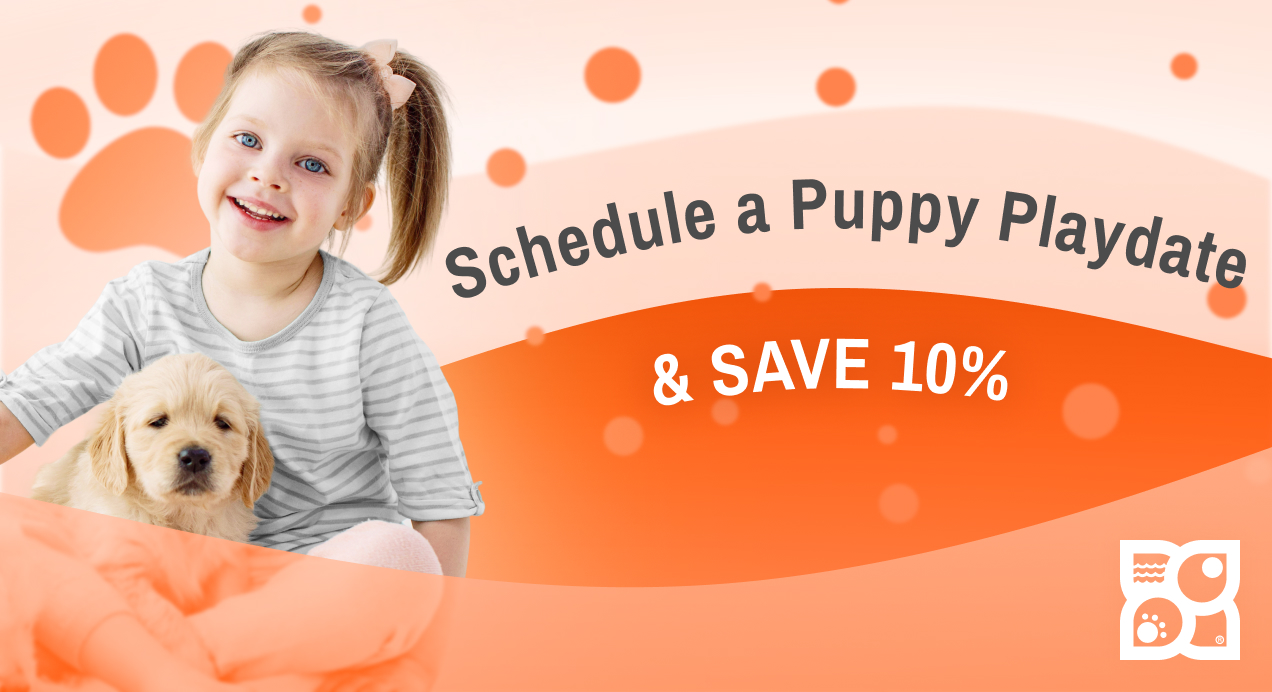 Schedule a playdate and save 10%